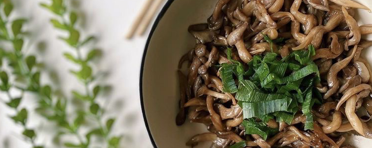 Receita de shimeji na manteiga Blog Fungo de Quintal