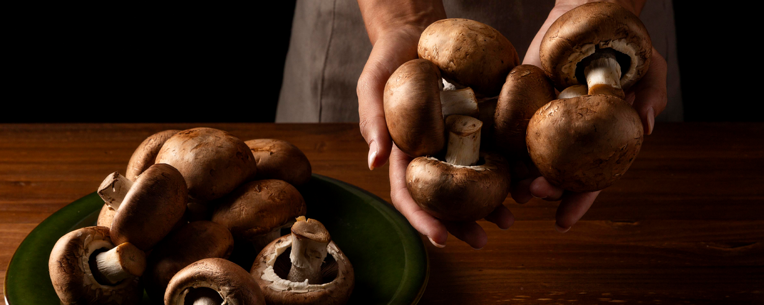 Shitake: Confira 5 benefícios de consumir o cogumelo e como